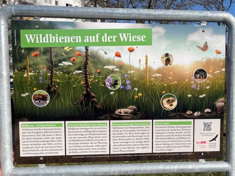 Blühwiese Schild