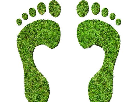 Green footprints