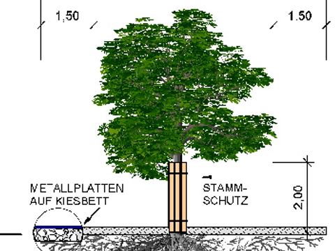 Baumschutz 2