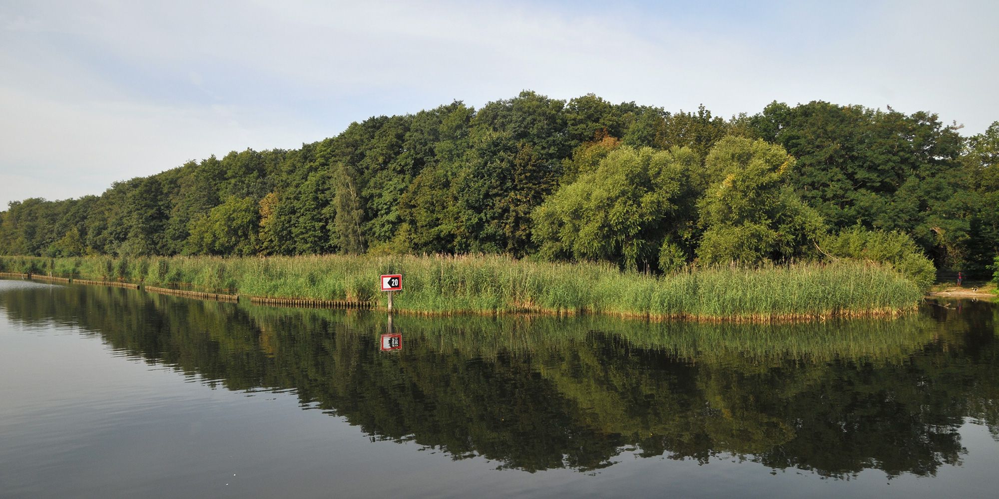 Ein Blick auf den geschützten Röhrichtgürtel am Müggelsee. Die schilfartigen Pflanzen ragen aus dem Flachwasserbereich am Ufer heraus. Vor dem durchgehenden Bewuchs steht ein schwarz-weißes Hinweisschild, das rot umrandet ist. Dahinter wachsen dunkelgrüne Baumkronen dicht an dicht. Bäume, Röhrichtgürtel und Schild werden vom dunklen Seewasser reflektiert. Kleine Wellen verzerren das Spiegelbild leicht. Darüber spannt sich der blau-weiße Himmel.
