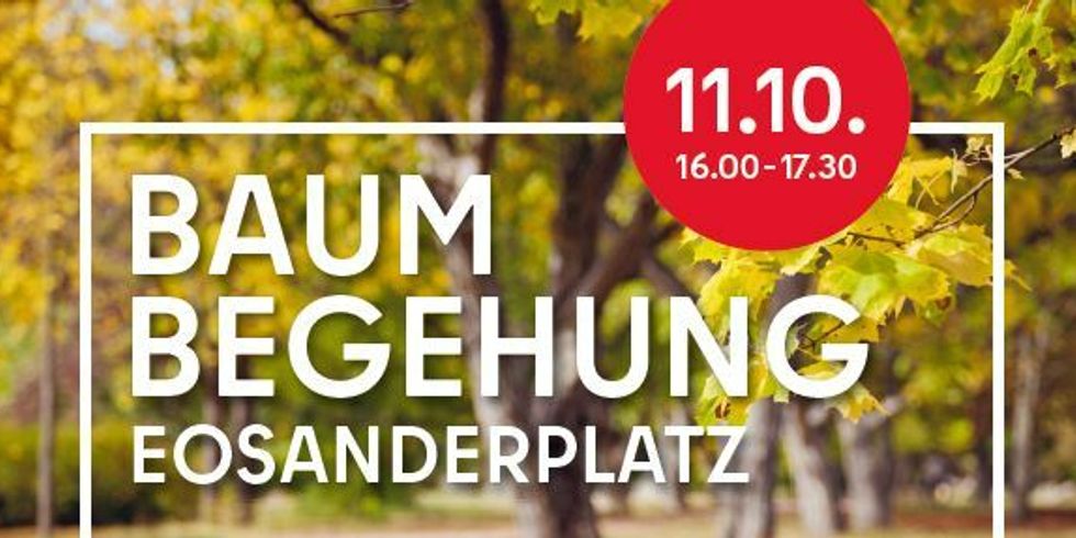 Baumbegehung auf dem Eosanderplatz.