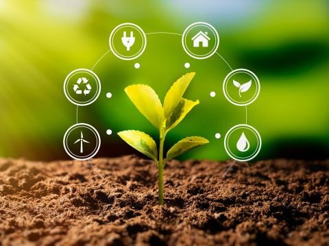 Energiekrise begegnen