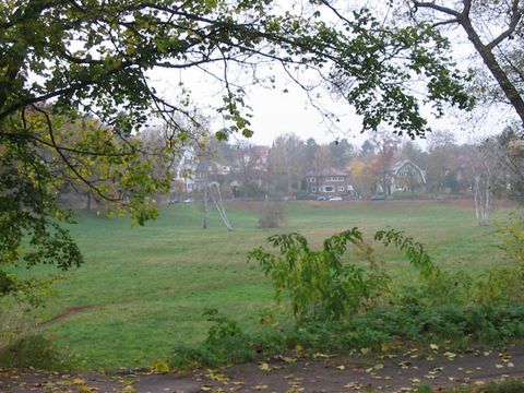 Die Rehwiese in Nikolassee im Herbst.