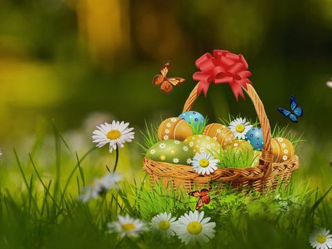 Ein Korb voller Ostereier steht auf einer Frühlingswiese