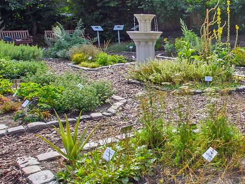 Hildegard von Bingen-Kräutergarten