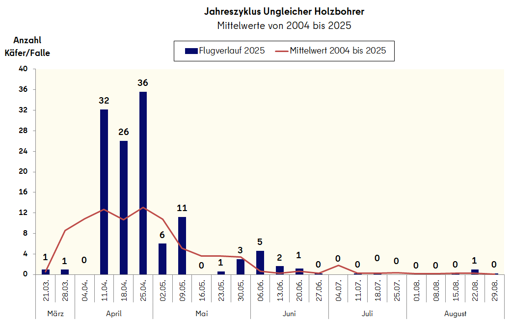 Flugverlauf des Ungleichen Holzbohrers 2025 im Stadtgebiet Berlin im Vergleich zum Mittelwert (2004-2025)