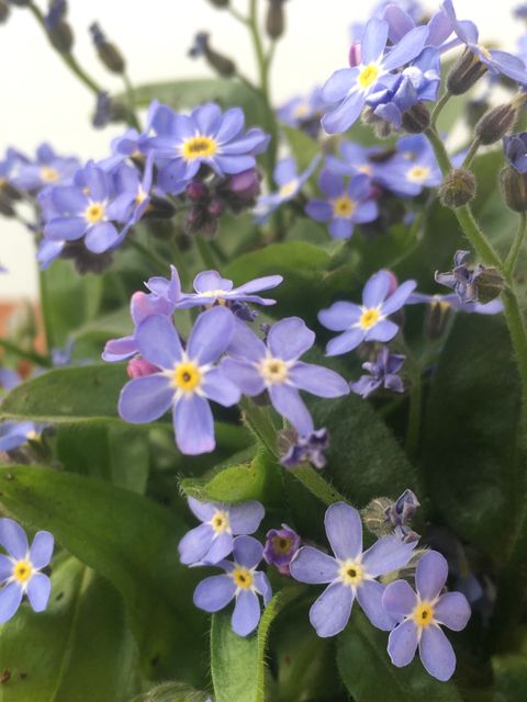 Patientenverfügung, Gesundheitsvollmacht und Betreungsverfügung