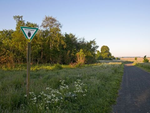 NSG Idehorst