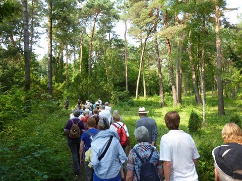 Im Waldfriedhof, 10.8.2013, Foto: KHMM