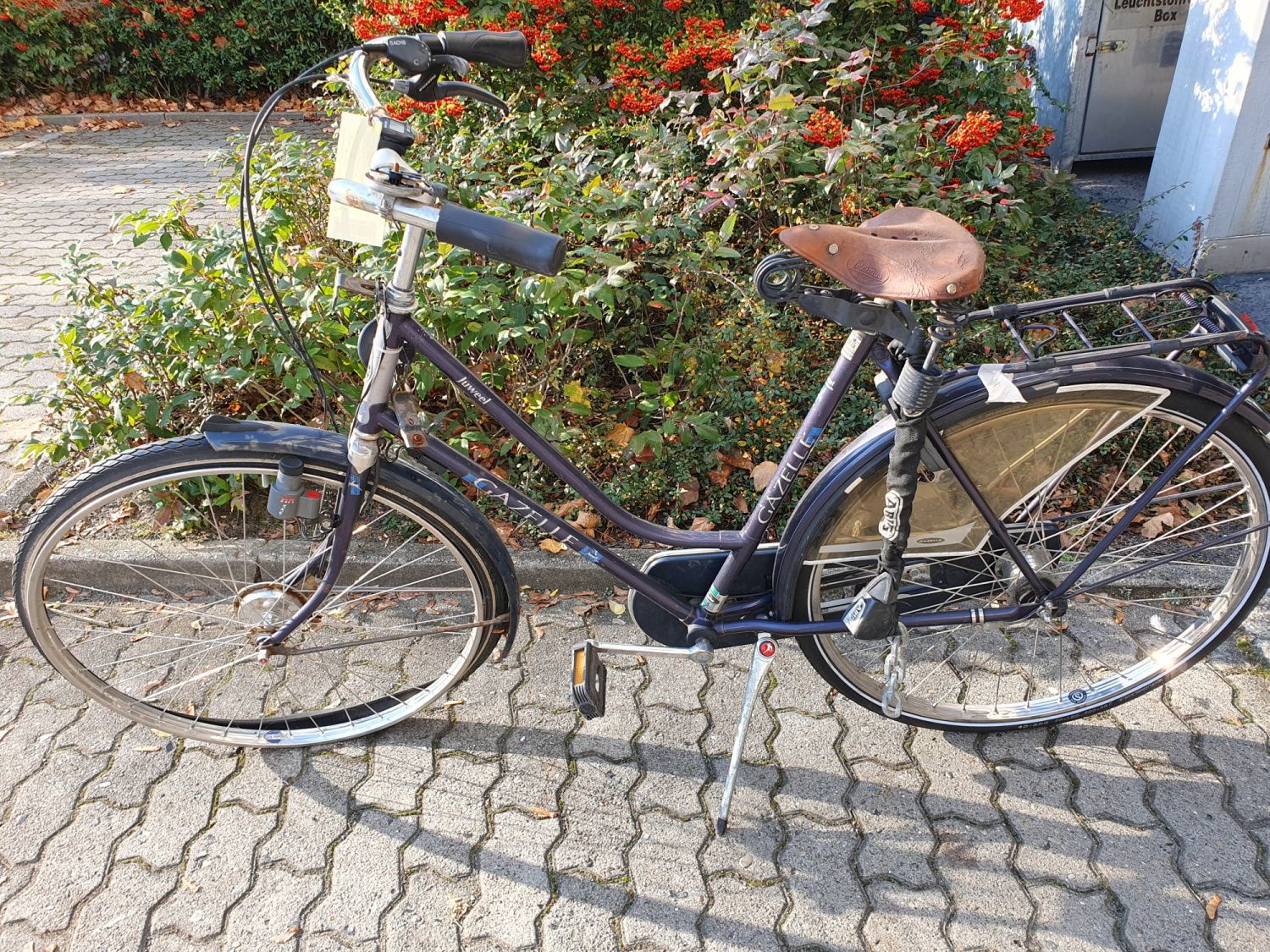 Blaues Damenfahrrad