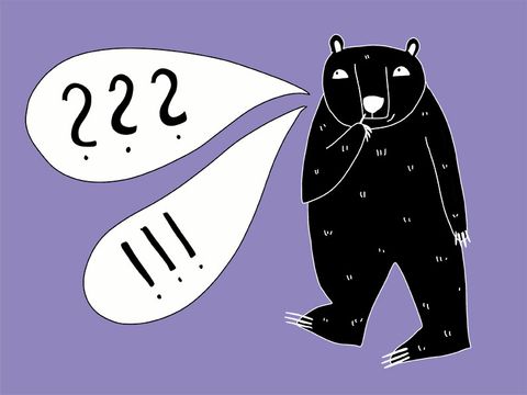 Titelzeichnung FAQ. Gezeichneter Bär mit zwei großen Sprechblasen: drei Fragezeichen und drei Ausrufezeichen