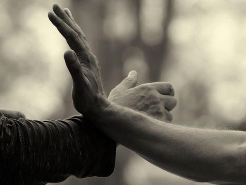 Pushing Hands