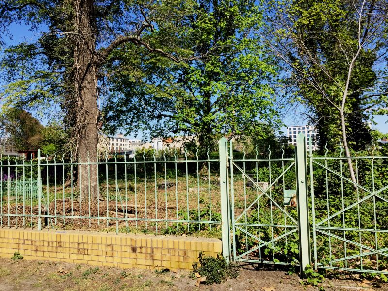 Alter Beamtenfriedhof (Bild: Moabiter Ratschlag e.V.)