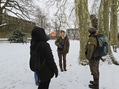 Die beiden Stadtnatur-Rangerinnen an einer alten Platane in direkter Nähe des Schinkel-Denkmals im Viktoriapark
