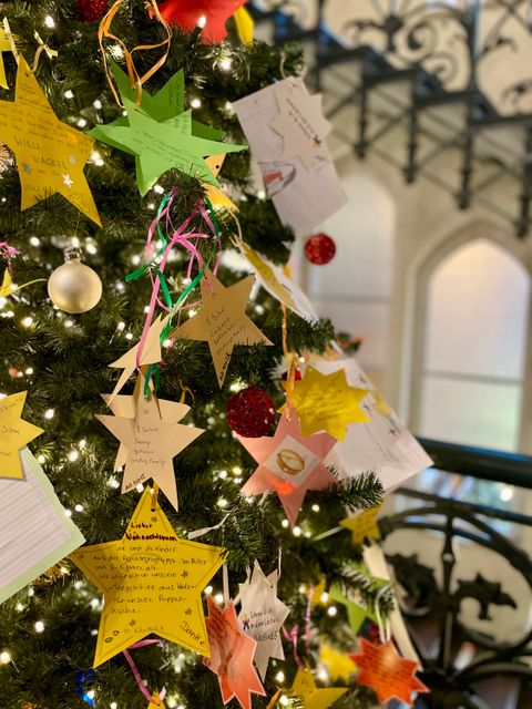 Wunschbaum im Rathaus Steglitz