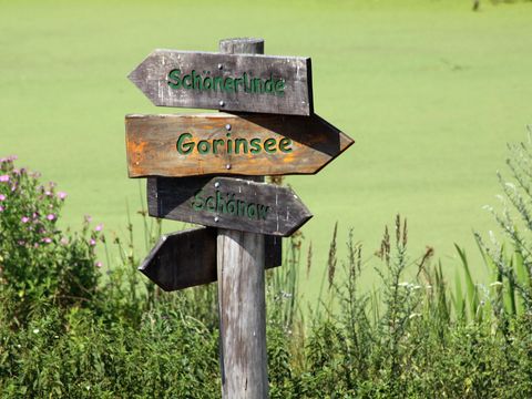 Wegweiser am Großen Reinigungsteich, Sommer
