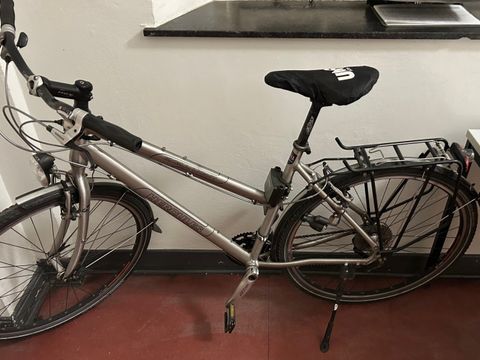 Silbernes Damenfahrrad