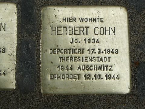 Stolperstein Herbert Cohn (Bild: Wolfgang Knoll)