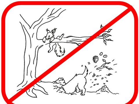 (Bild: Caroline Maik)