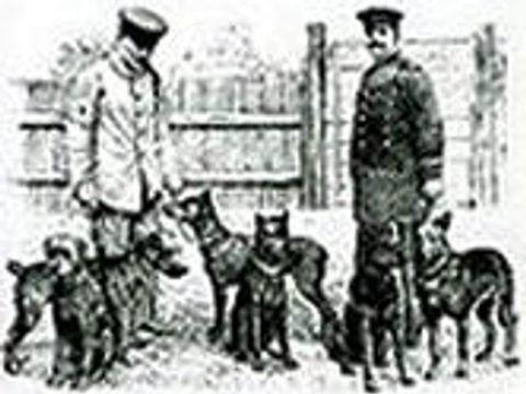 Hundestaffel