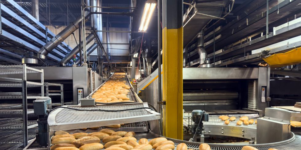 Brötchen vom Fließband