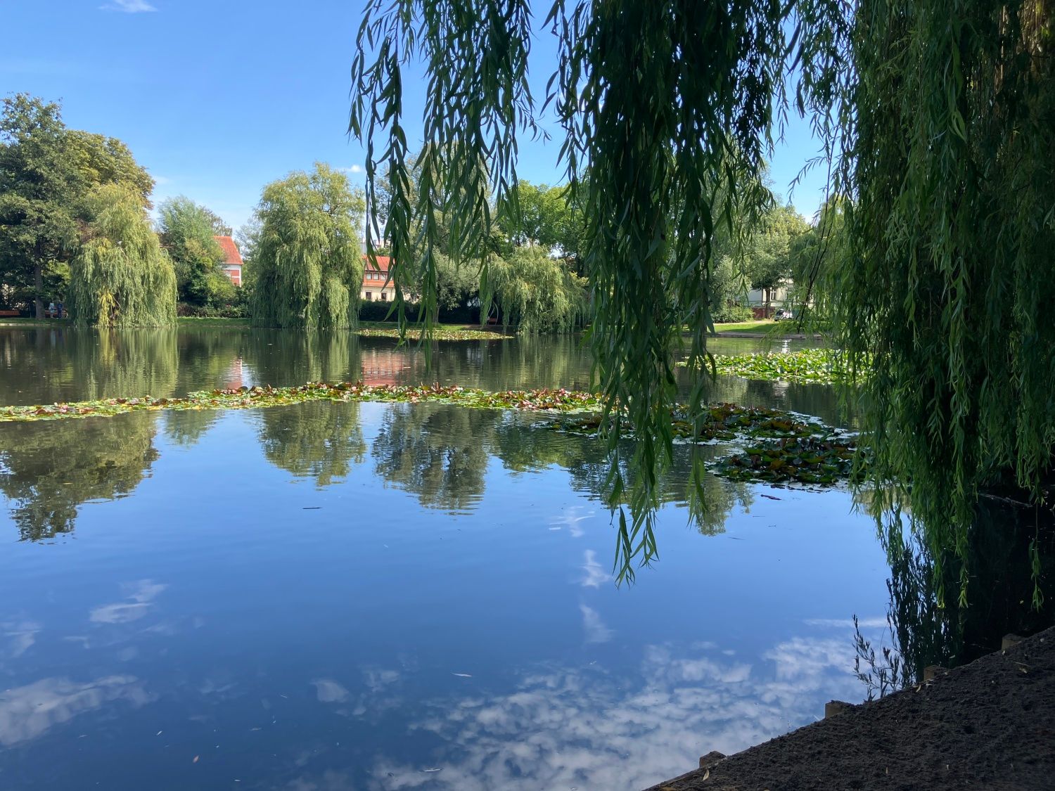 Lichtenrader Dorfteich