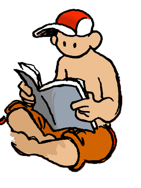 Sommer Challenge Leser