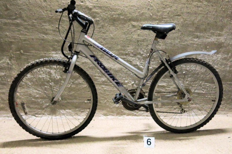 Silbernes Damenfahrrad