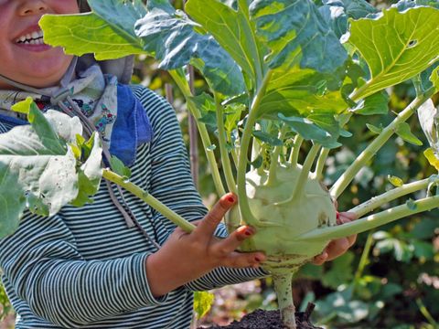 Angebote Kindergärten