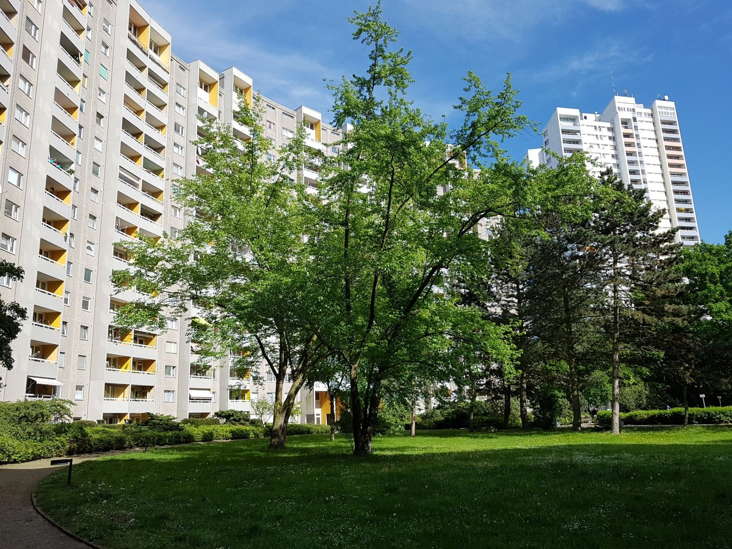 Foto Gropiushaus mit Gartenhof