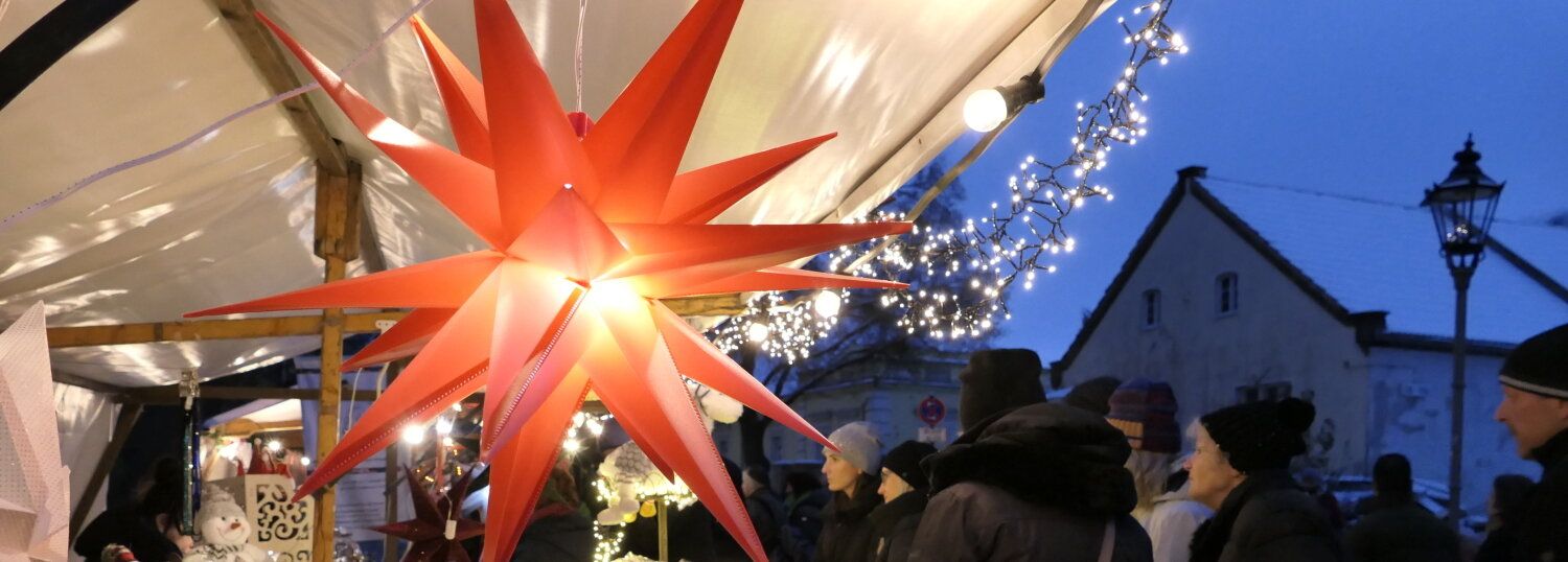 ein roter Weihnachtsstern