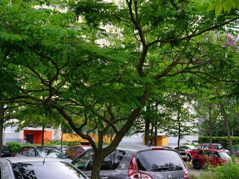 (Bild: Detlef Kirstein)