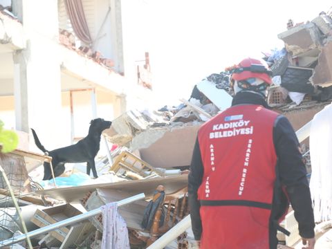 Suchhund Lena bei der Arbeit