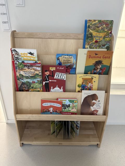 Bücherregal mit Bilderbüchern