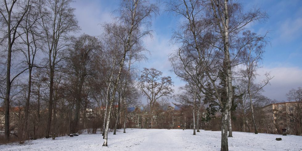 Preußenpark