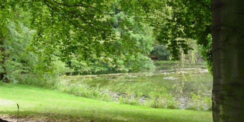 Arboretum