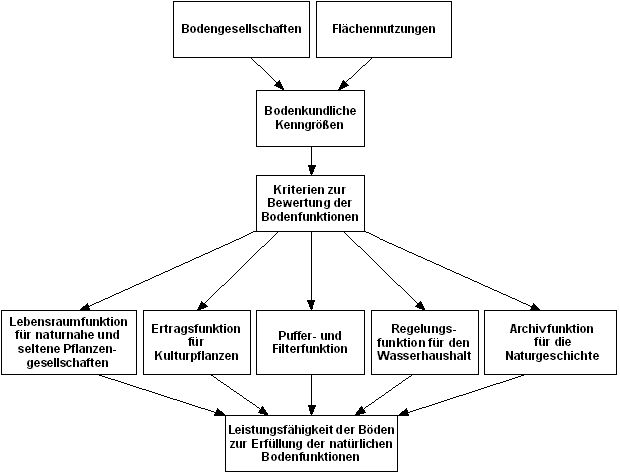 Abb. 1: Schema zur Bewertung der Bodenfunktionen