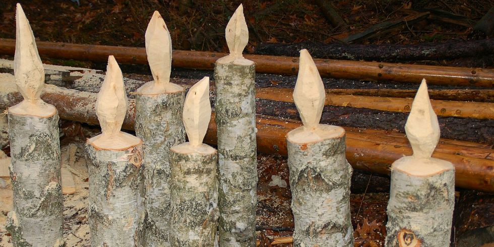 Weihnachten im Wald