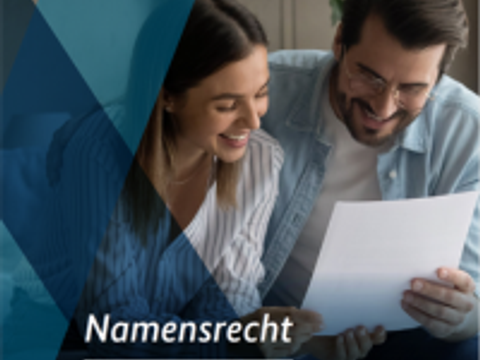 Master Publikationen Cover - 1