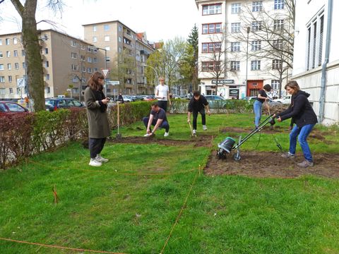 mehrere Personen bei der Anlage einer bestäuberfreundlichen Blühwiese