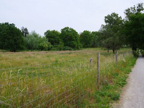 Blick über die Egelpfuhlwiesen
