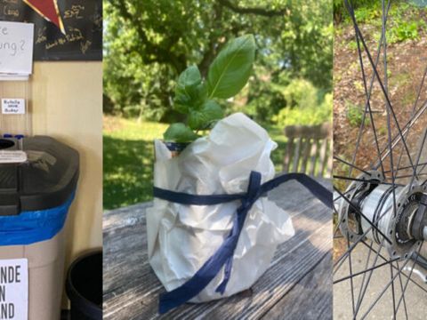 Klima und Nachhaltigkeit – Droste-Hülshoff-Gymnasium