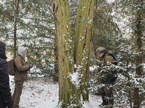 Hier finden sich einige Risse, Spalten und Baumhöhlen, die im System aufgenommen werden