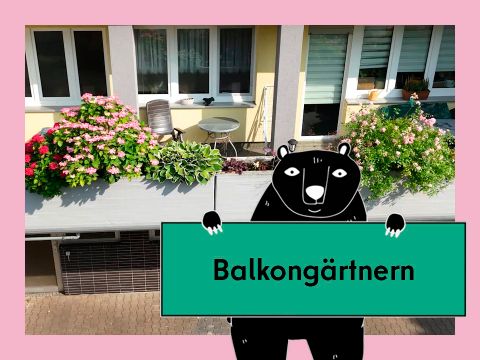 Vorschaubild für das Video Balkongärten: Wettbewerb für Balkone und Terrassen in der High-Deck-Siedlung. Abgebildet sind bepflanzte Balkone.