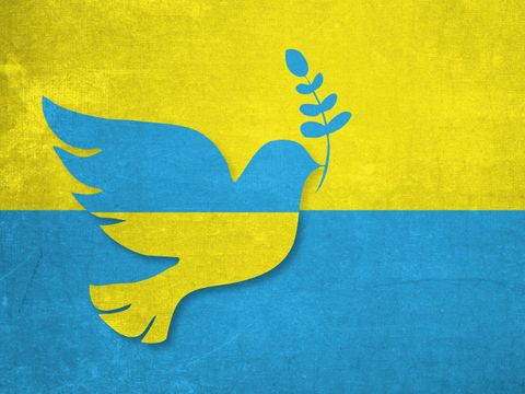 Ukraineflagge mit Friedenstaube