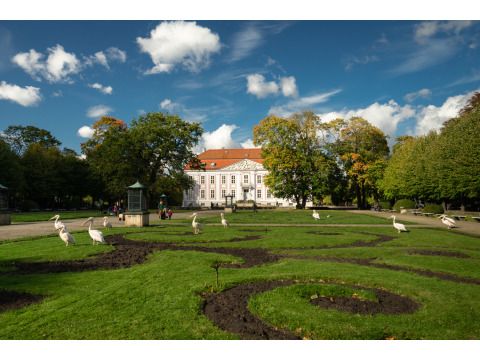 Grasfläche vor dem Schloss Friedrichsfelde im Tierpark Berlin