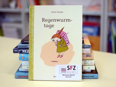 Buch Regenwurmtage