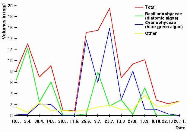 Fig. 3: Phytoplankton Development in Müggelsee (lake middle) 1991