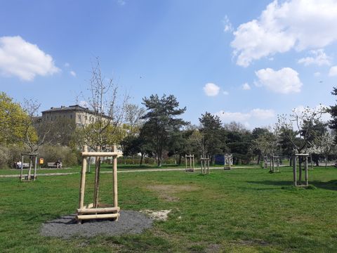 Neu gepflanzte Klimabäume auf der Obstbaumwiese im Görlitzer Park