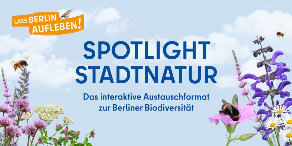 Zentral steht der blaue Schriftzug ‚Spotlight Stadtnatur‘ mit dem Untertitel ‚Das interaktive Austauschformat zur Berliner Biodiversität‘ vor einem hellblauen Himmel mit weißen Wolken. Im Vordergrund sind verschiedene blühende Wildpflanzen und Gräser zu sehen, auf denen drei Insekten sitzen: eine Hummel, eine Biene und ein Schmetterling. Links oben befindet sich ein orangefarbenes Banner mit dem Text ‚Lass Berlin aufleben!‘.